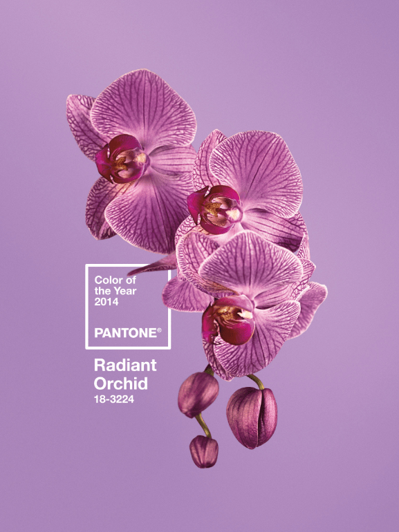 Pantone